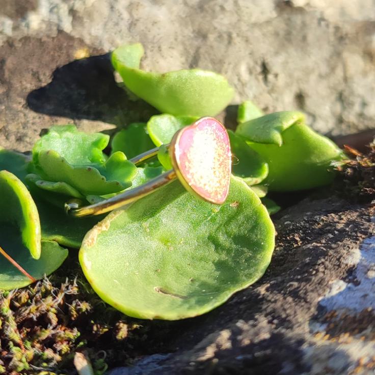 Bague Cœur Rose Dorée en Plaqué Or – Bijou Raffiné Fait Main 🇫🇷