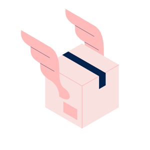 icone-livraison-ailes.png
