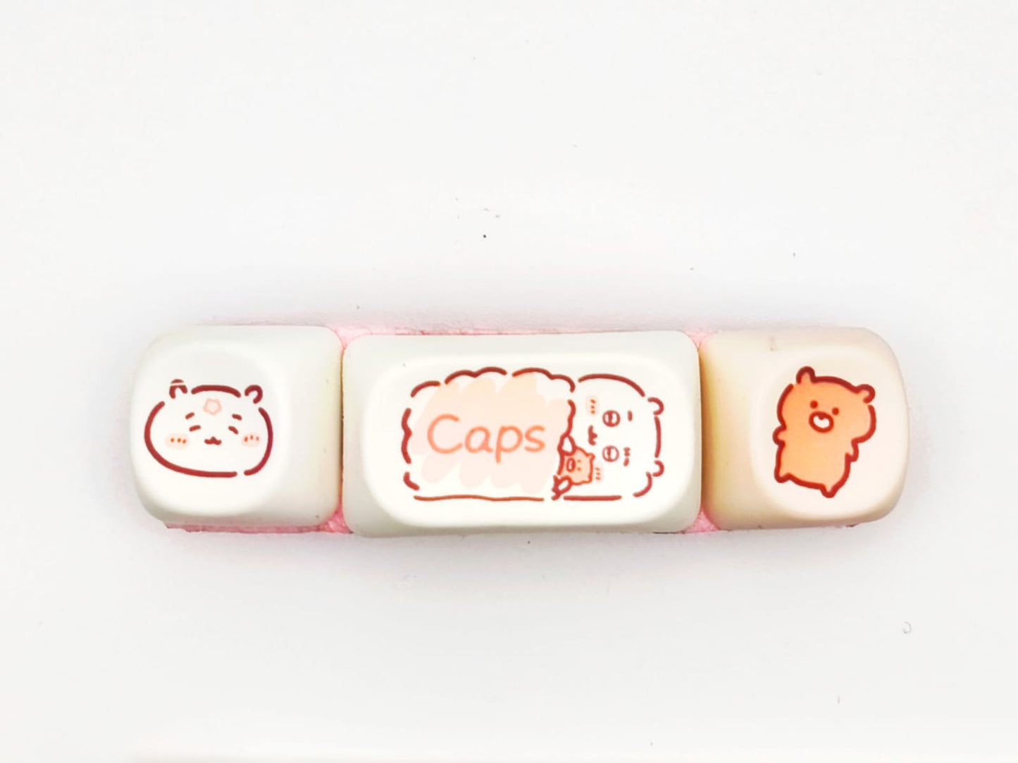 Ourson Kawaii “Dodo et Doudou” | Barrette GEEK