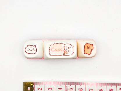 Ourson Kawaii “Dodo et Doudou” | Barrette GEEK