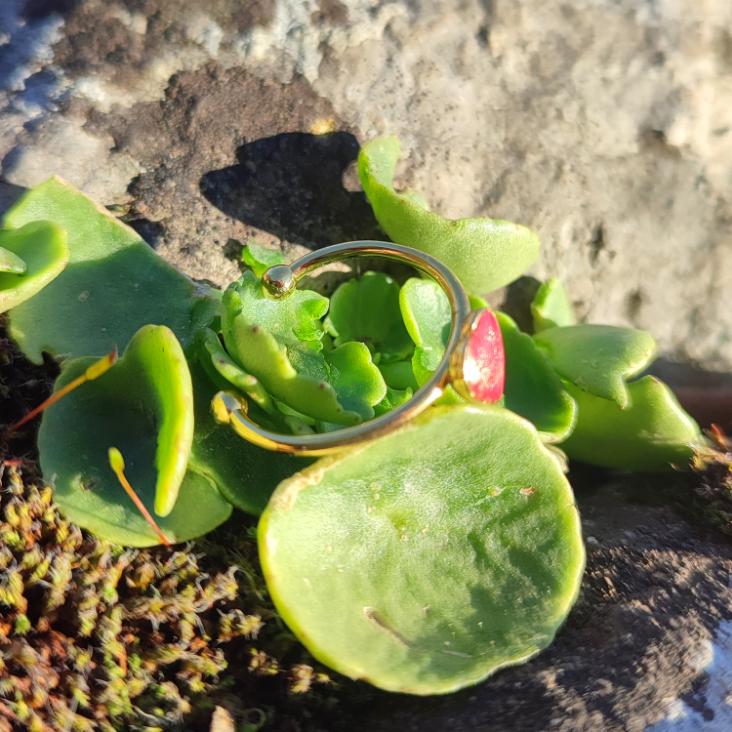 Anneau Bague coeur rouge