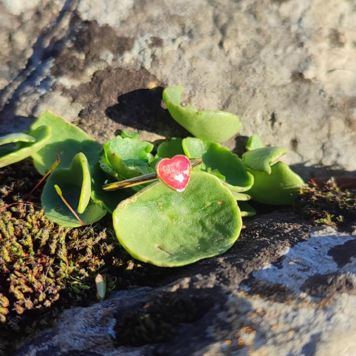 Bague Cœur rouge Ajustable Plaqué Or – Offrez une Déclaration d’Amour