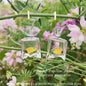 Boucles d'Oreilles Kawaii Poissons de Fête Foraine | Fishes in my Sea