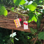 boucles d'oreilles framboisier