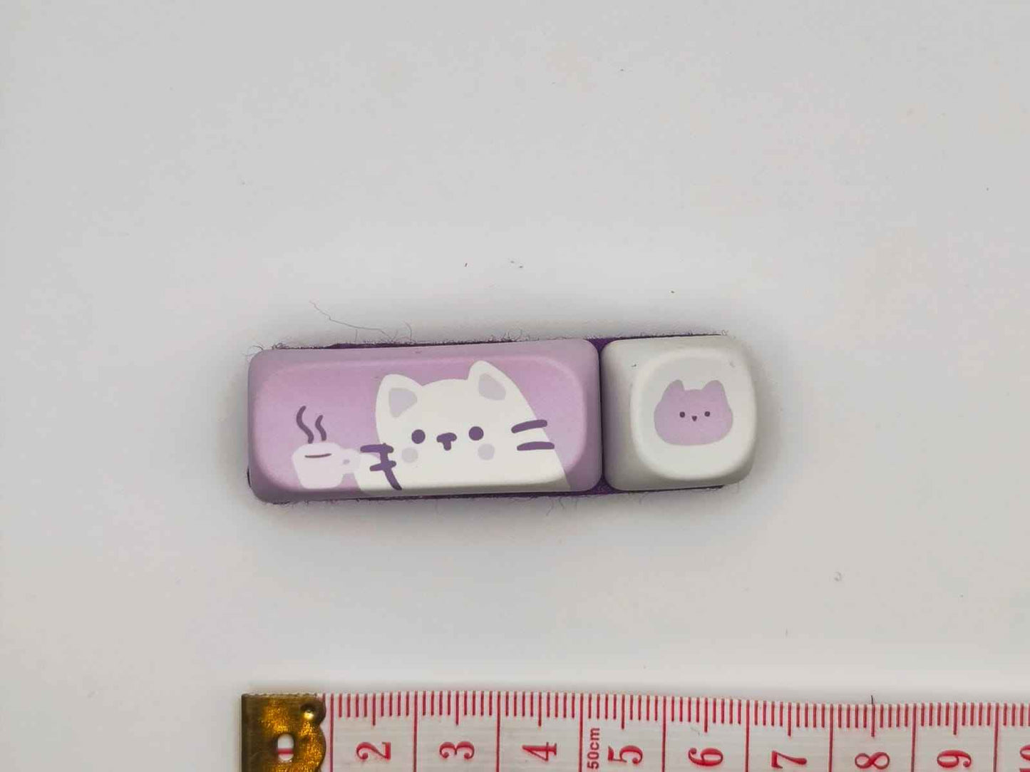 Chat Blanc & Tasse de Café | Barrette GEEK