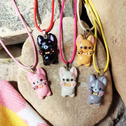 Colliers chien 5 couleurs