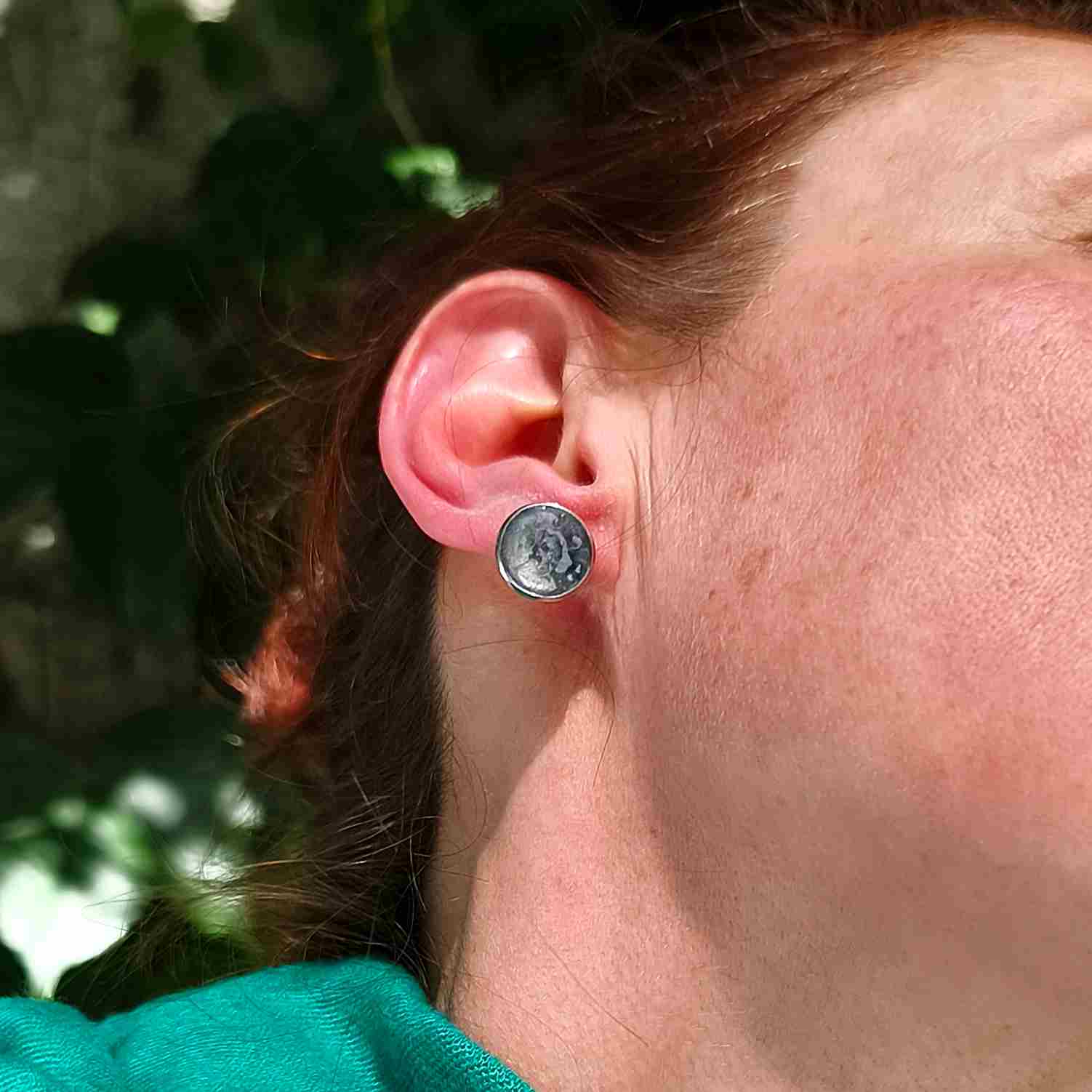 puces oreilles rondes grises
